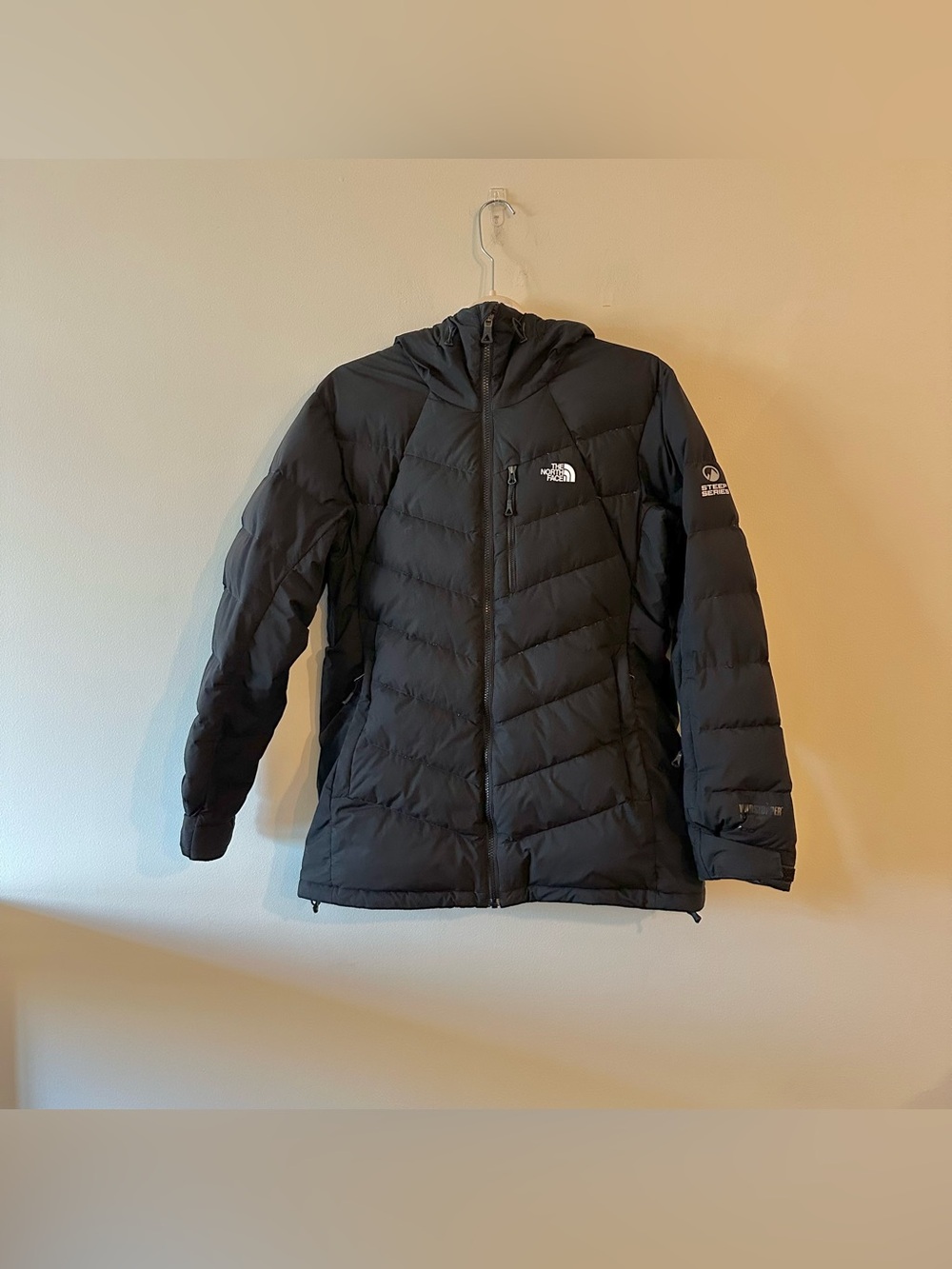 North Face Steep Series Windstopper 700 Pro Hooded Down Jacket Primaloft L Recco